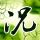 主君的太阳