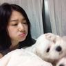 鹿鼎记陈小春版